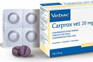 CARPROX QUADRI ALIMENTO COMPLEMENTARIO PARA PERROS