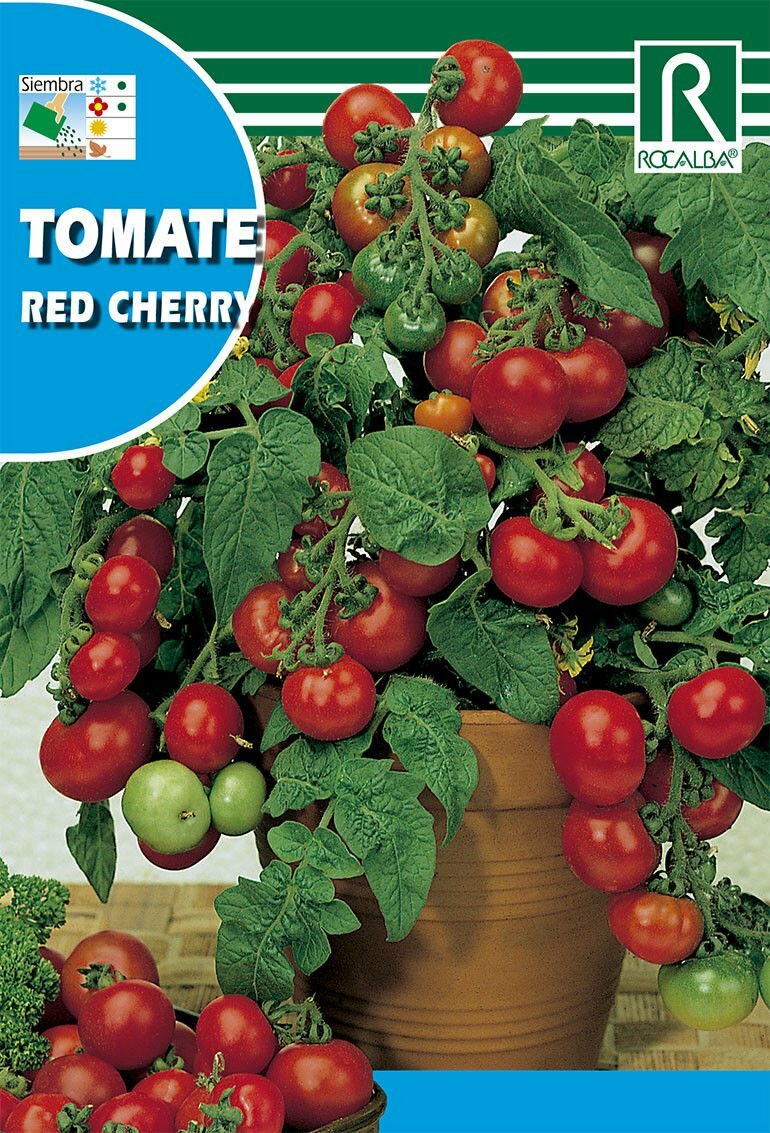 HORTALIZAS TOMATE RED CHERRY