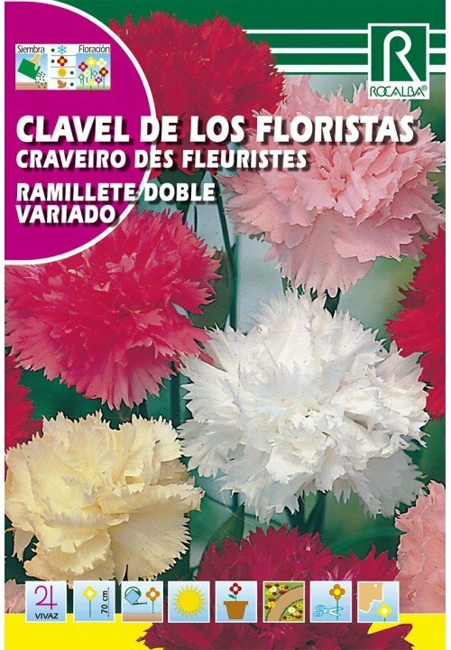 FLORES CLAVEL RAMILLETE VARIADO